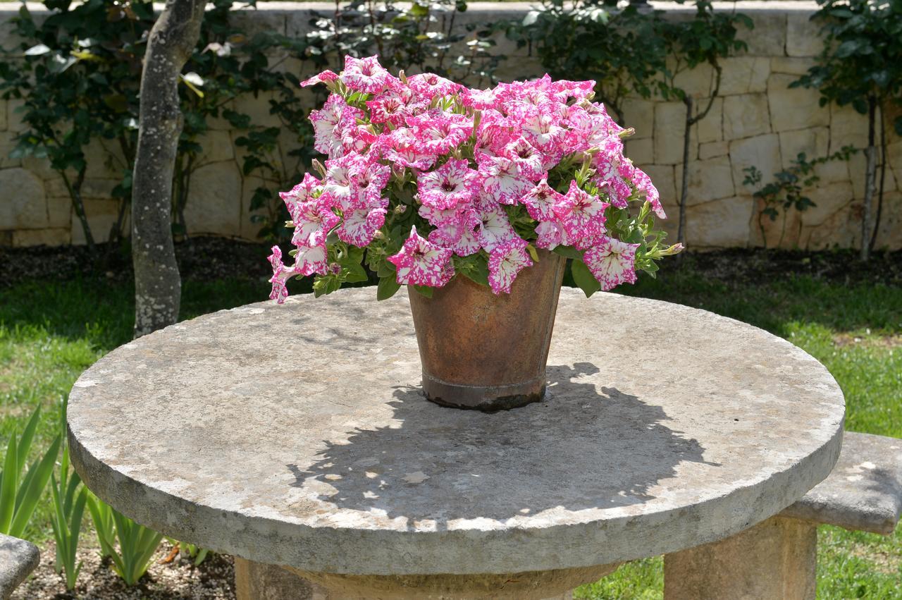 Bed and Breakfast Astra à Alberobello Extérieur photo